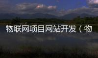 物联网项目网站开发（物联网项目网站开发方法）