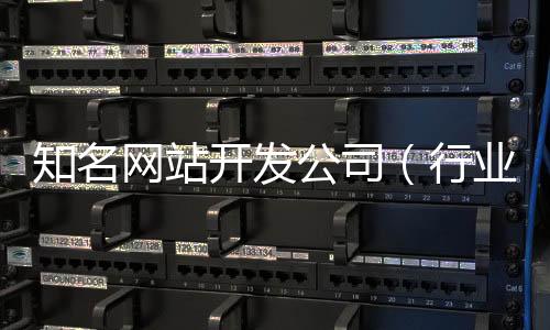 知名网站开发公司（行业网站开发公司）
