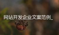 网站开发企业文案范例_(网站开发企业文案范例大全)