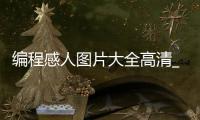 编程感人图片大全高清_(编程图片高清 图片素材)
