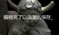 编程完了以后怎么保存_(编程编好了怎么运行到程序里)