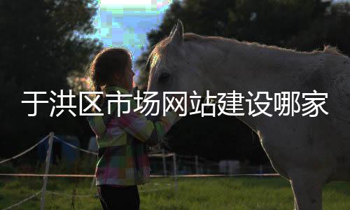 于洪区市场网站建设哪家好（于洪区市场监督管理局地址）