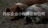 丹东企业小程序定制公司（丹东文旅小程序） 