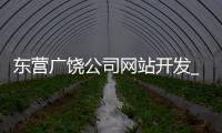 东营广饶公司网站开发_(山东东营广饶招聘信息网) 