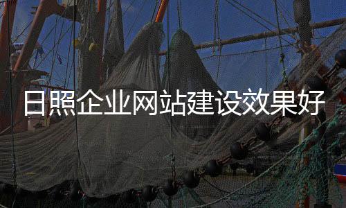 日照企业网站建设效果好(日照网络科技有限公司)