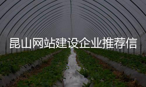 昆山网站建设企业推荐信息_(昆山网站建设企业推荐信息查询)