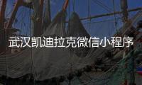 武汉凯迪拉克微信小程序_(武汉凯迪拉克售后服务电话)