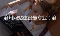 沧州网站建设最专业（沧州网站制作）