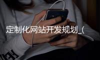 定制化网站开发规划_(网站定制开发是什么意思)
