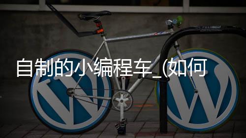 自制的小编程车_(如何制作编程的小车)