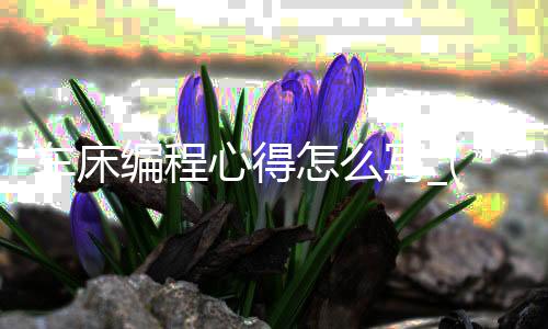 车床编程心得怎么写_(车床编程心得怎么写范文)