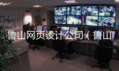 鲁山网页设计公司（鲁山网页设计公司招聘）