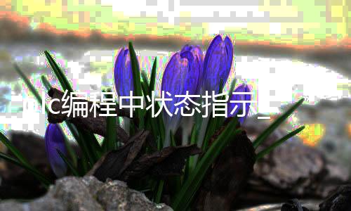 plc编程中状态指示_(plc编程中状态指示符是什么)